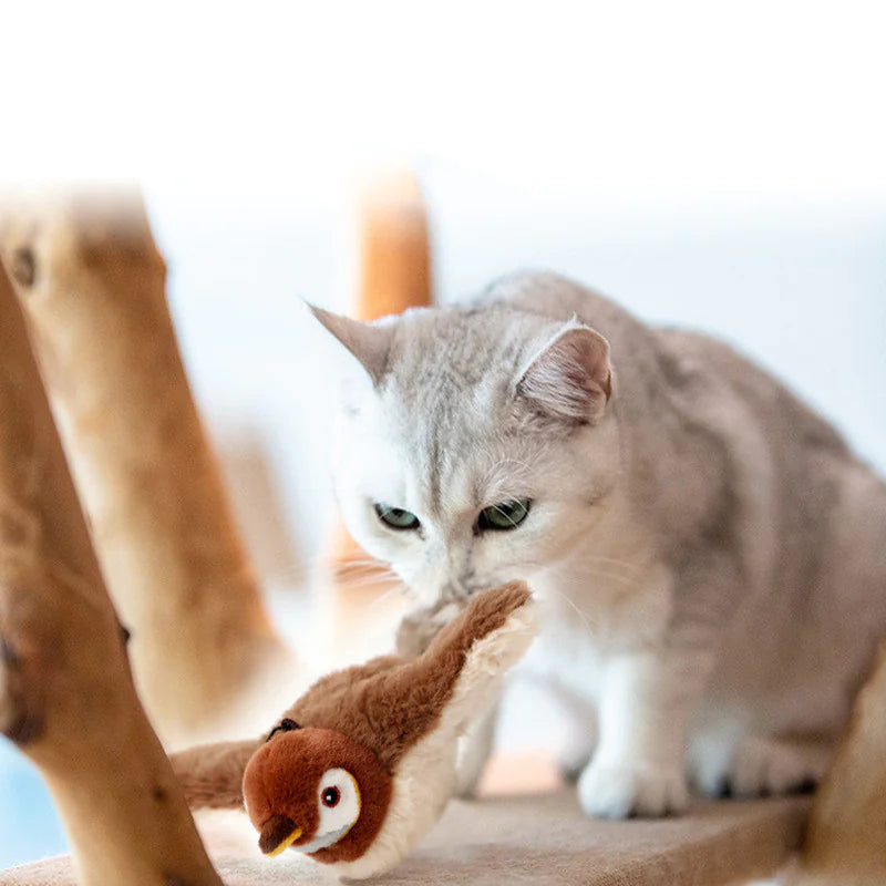 RelaxPet™ - Jouet à la Cataire et Sonore
